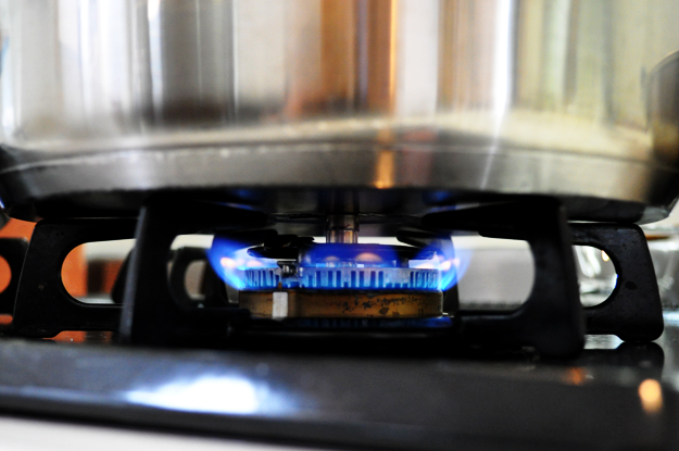 「ペット看護士」のよっちゃんが愛犬Ｂ！の為に考えたご飯レシピ大公開！”口臭改善効果があった”