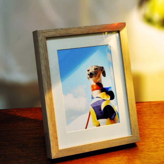 3月1日に感じたこと。「冬があるから、春が待ち遠しい。」