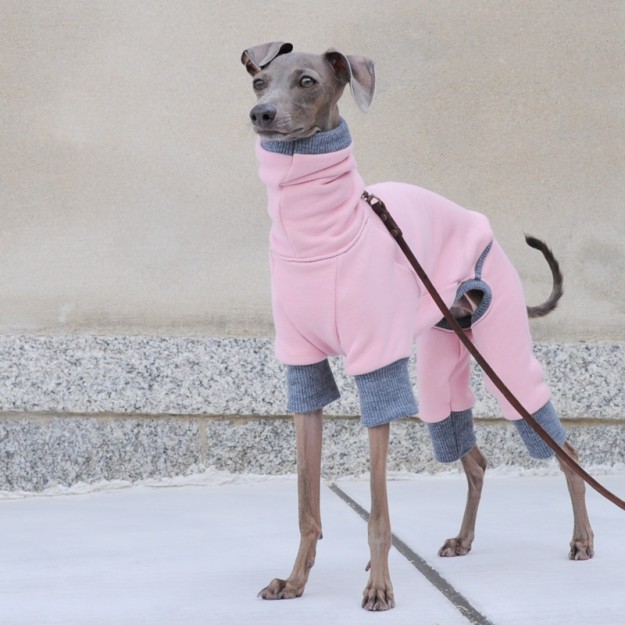 イタグレ・ウィペット犬服｜ロンパース｜トレーナー｜選べる３カラー（ポピーレッド/桜色/イタグレグレイ）