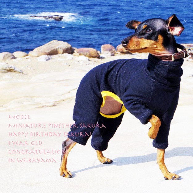 犬服｜ロンパース｜毛布に包まれたような暖かさと、優しい肌さわりのボンバーヒート(保温）裏起毛２WAYニット｜選べる３カラー