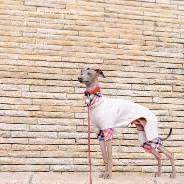 犬服｜春の予感♪ウールワッシャーチェック重ね着風トレーナー薄手｜選べる３タイプ×３カラー