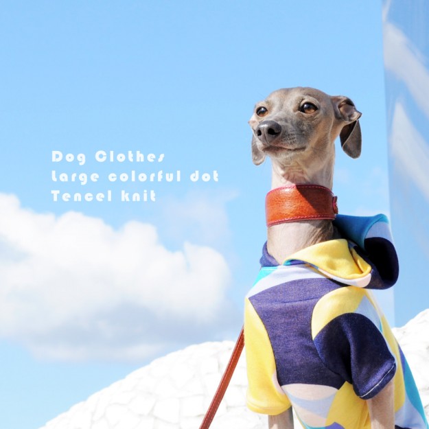 犬服｜大きなカラフルドットのテンセルニット｜選べる３タイプ×３カラー