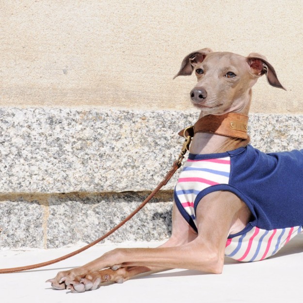 ”新作”「オールシーズン着れる犬服」シンプルボーダーニット｜選べる３タイプ×３カラー販売開始です