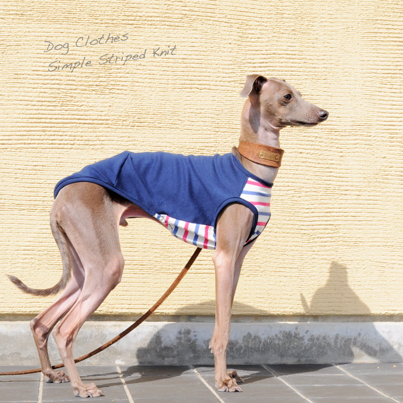 ”新作”「オールシーズン着れる犬服」シンプルボーダーニット｜選べる３タイプ×３カラー販売開始です
