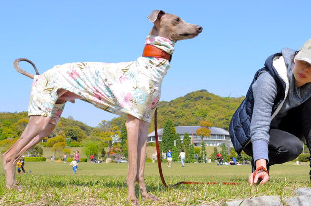 春だし明るく元気にいこうよ！そんな気持ちでデザインした犬服「Flower Garden」の撮影裏話