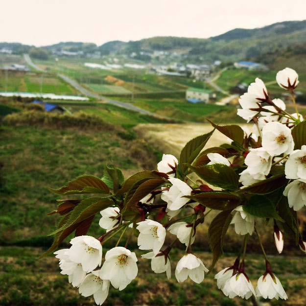 4月1日に感じたこと。「この町の匂い」