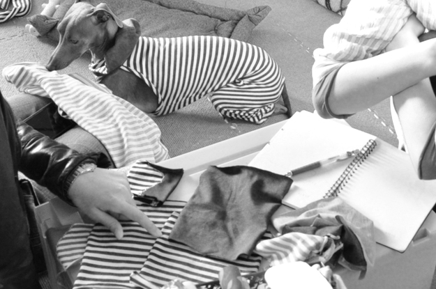 24枚の写真と、さっちゃんのインスタで綴るイタグレ「Heath♂とBuono!♂」の春休みin淡路島！