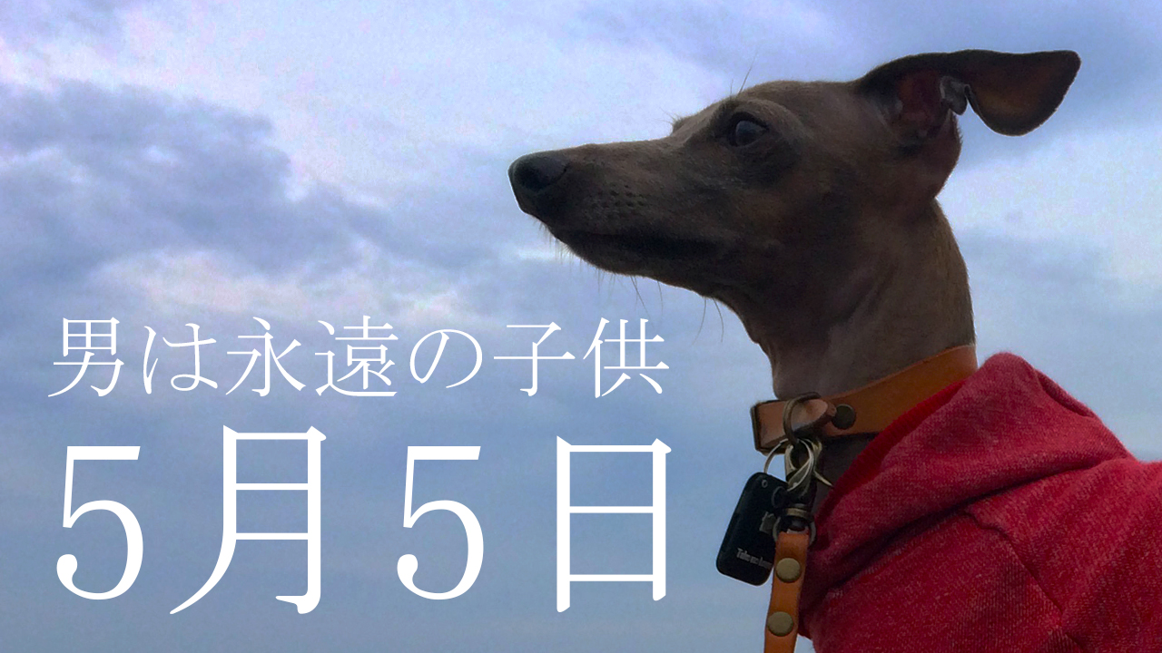 「男は永遠の子供」よく寝て、よく遊び、よく食べる。そして寝る。そんな男子が好きだ！