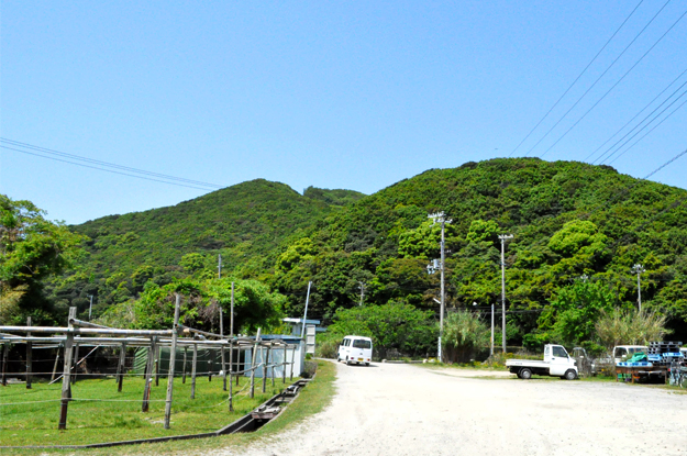 イタグレの喜怒哀楽と、俺たちの食|GW@2015in淡路島