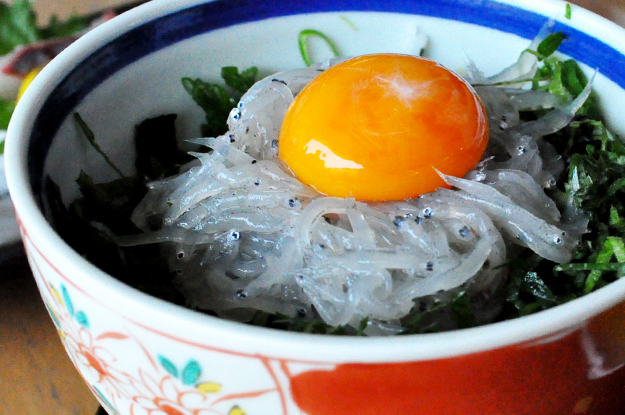 イタグレの喜怒哀楽と、俺たちの食|GW@2015in淡路島