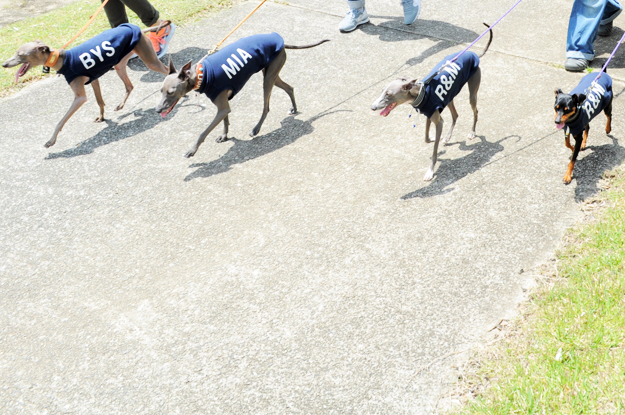 イタグレと歩く淡路島そして、俺たちのプチBBQ|GW2015@淡路島