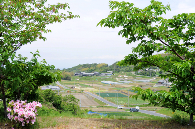 イタグレと歩く淡路島そして、俺たちのプチBBQ|GW2015@淡路島