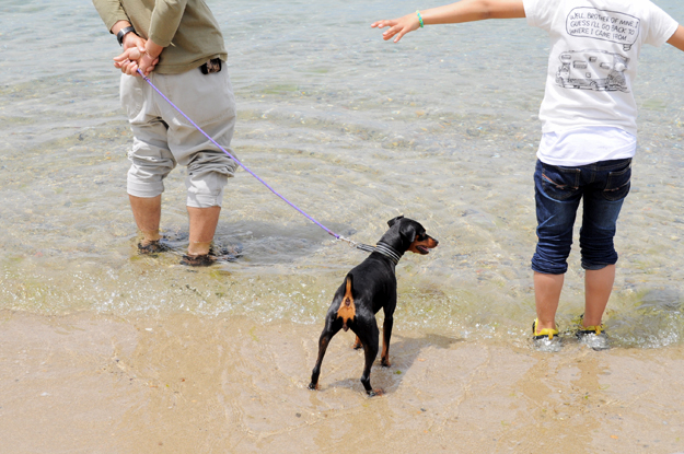 イタグレと歩く淡路島そして、俺たちのプチBBQ|GW2015@淡路島