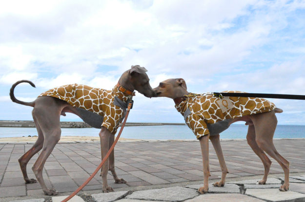 夫婦とイタキリンの旅の目的地｜GW2015@淡路島