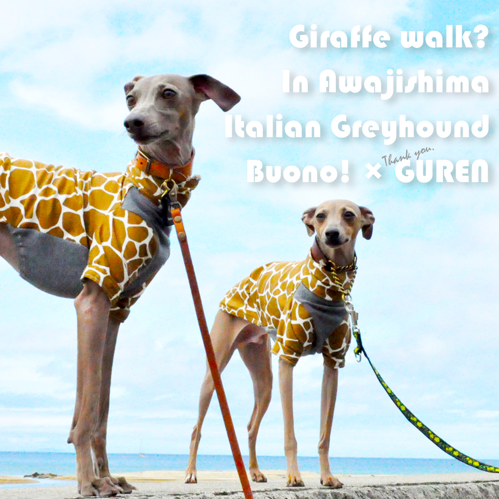 夫婦とイタキリンの旅の目的地｜GW2015@淡路島