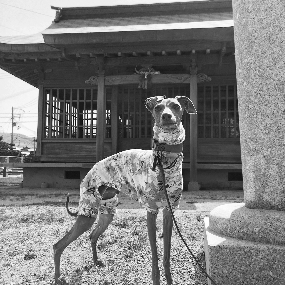 5月1日に感じたこと。「この町の海」