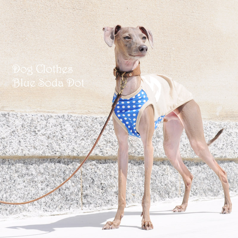 新作犬服「Baby Camouflage」と、夏の新着アイテム＆人気アイテム特集