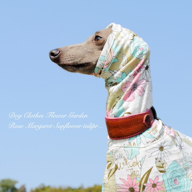 新作犬服「Baby Camouflage」と、夏の新着アイテム＆人気アイテム特集