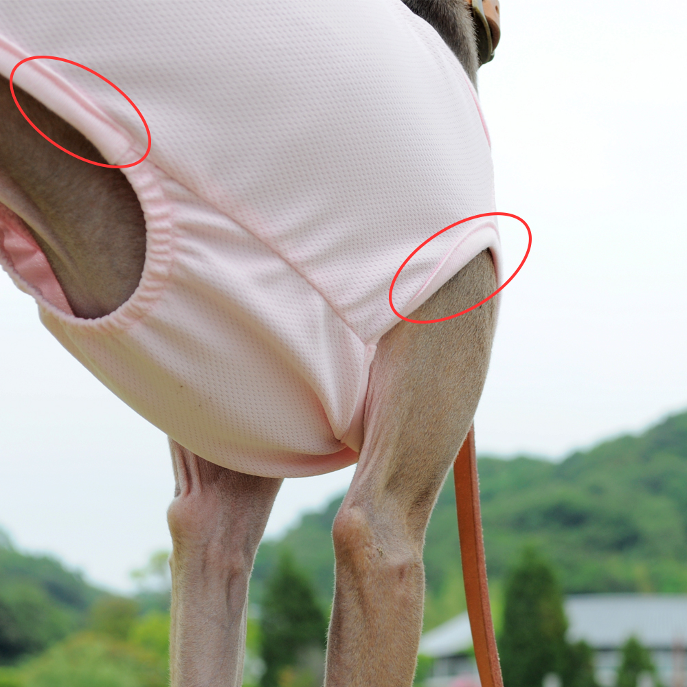 シンプルだからこそ、感じる。「犬服」スポーツニット/抗菌防臭/吸湿速乾/UVカットのお洋服