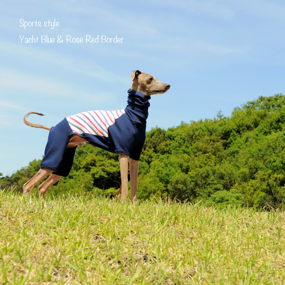 大公開！！お洒落な服を着た愛犬を「不細工に」「格好悪く」撮影する「４つのポイント」を教えます！