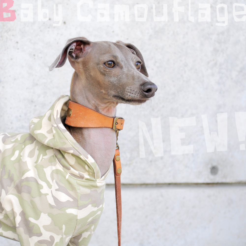 新作犬服「Baby Camouflage」と、夏の新着アイテム＆人気アイテム特集