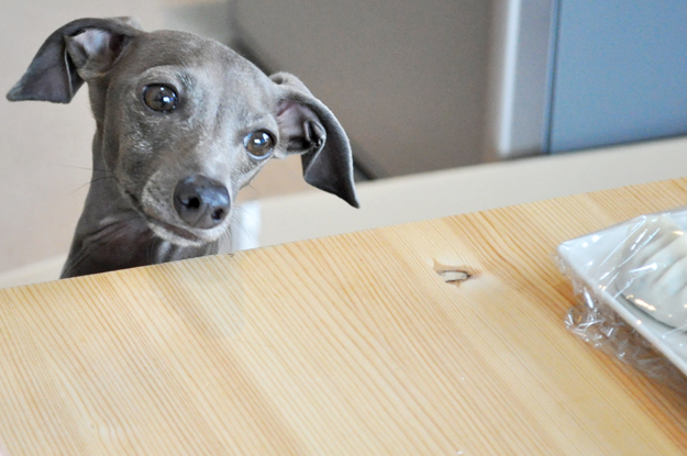 キャベツたっぷり “よっちゃんオリジナル” 鉄鍋餃子を自家製胡麻唐辛子タレで食す「鉄鍋レシピ」