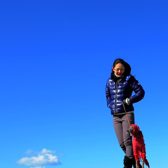 10864779_319461804908981_1988424555_n