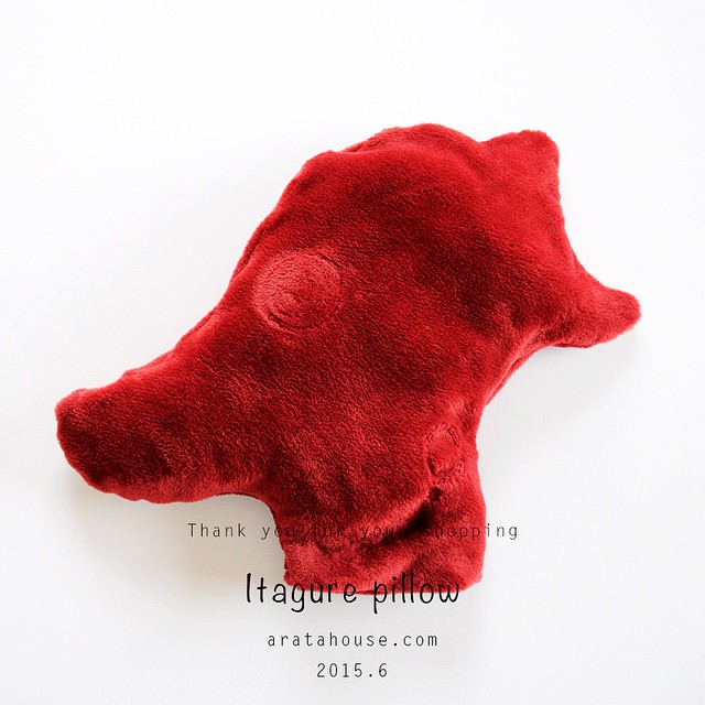 よっちゃんが「かわいいな♡」と想い遊びで作っている「イタグレまくら」で寝るイタグレたち♪