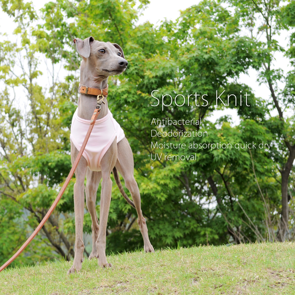 犬服｜スポーツニット/抗菌防臭/吸湿速乾/UVカット｜選べる３タイプ×３カラー（ピンク/イエロー/ネイビー）