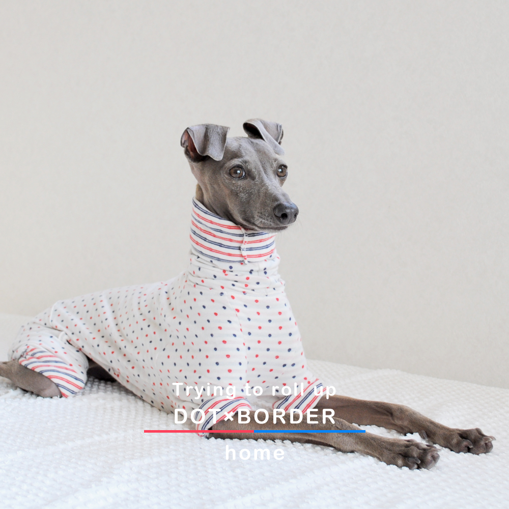 「ロールアップしよう♪」をテーマに新作の犬服を作りました｜スチュエーションに合わせてお洒落を楽しもう♪