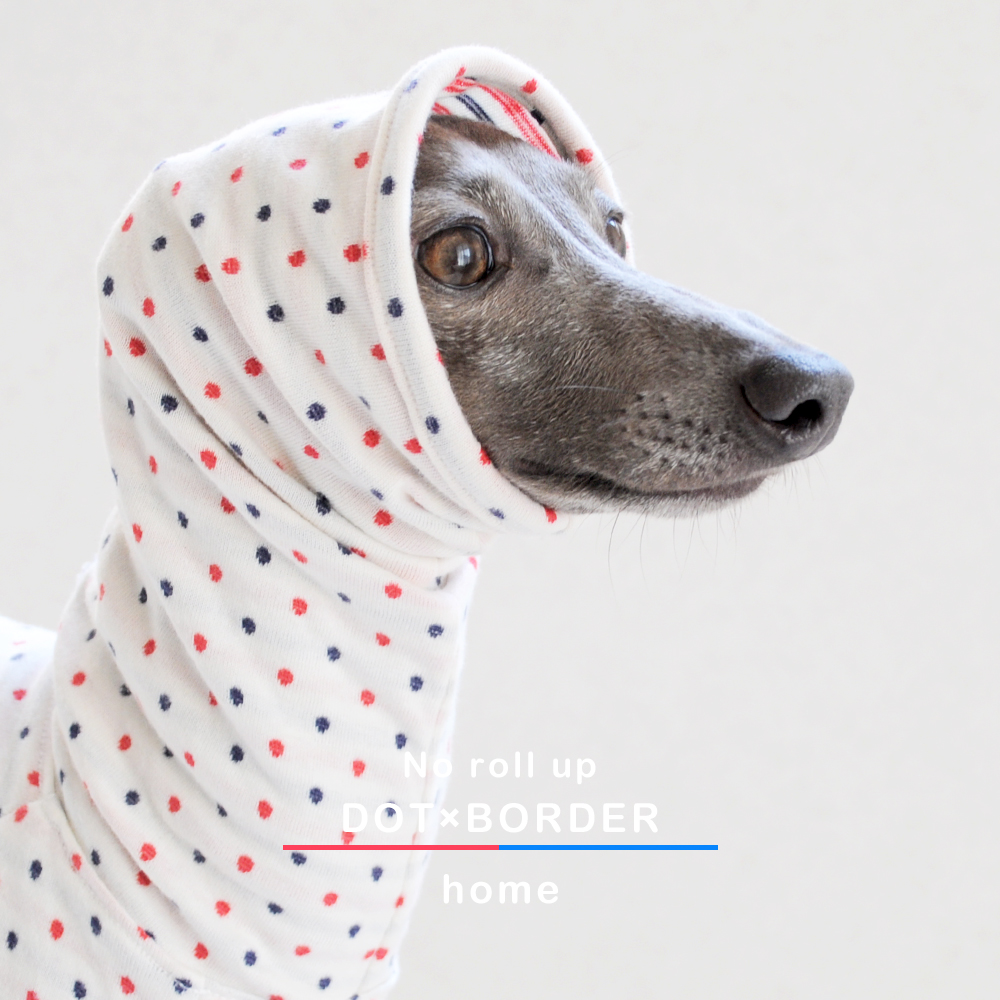 「ロールアップしよう♪」をテーマに新作の犬服を作りました｜スチュエーションに合わせてお洒落を楽しもう♪