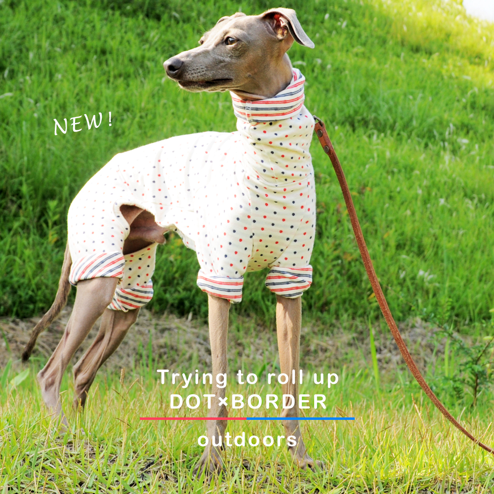 「ロールアップしよう♪」をテーマに新作の犬服を作りました｜スチュエーションに合わせてお洒落を楽しもう♪