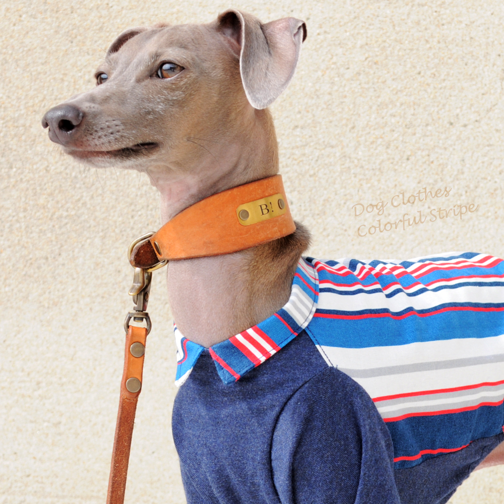 犬服｜カラフルストライプ「ドレスコードカスタマイズも可能」｜選べる２タイプ×３カラー（ブルー/イエロー/レッド）