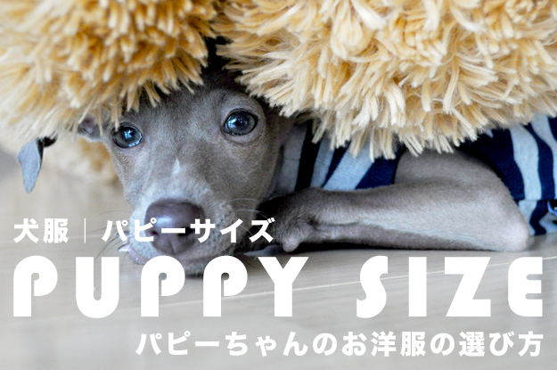 犬服｜パピーサイズ「パピーちゃんのお洋服の選び方」
