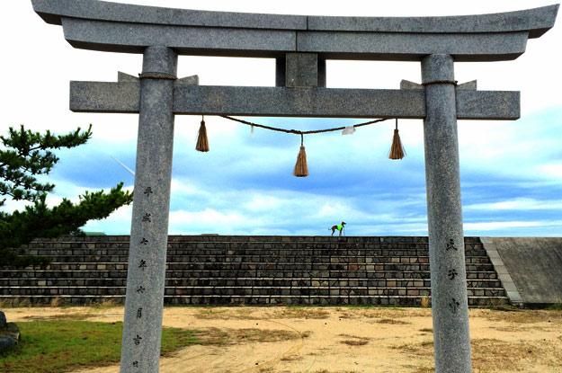 7月1日に感じたこと。「色」