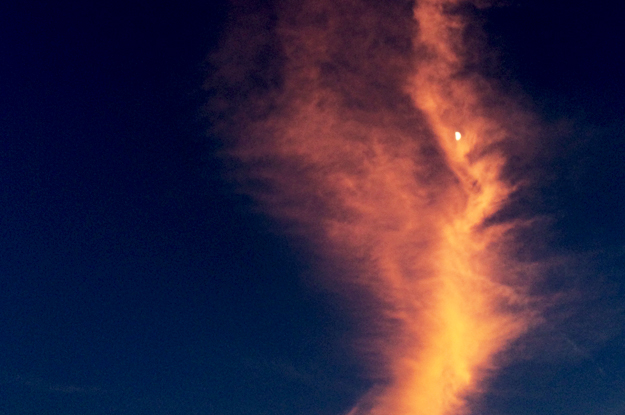 淡路島で夕焼けを見ながらランニング中に、ふと想ったこと。犬にとって服はどんな意味があるんだろう？