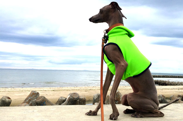 7月1日に感じたこと。「色」