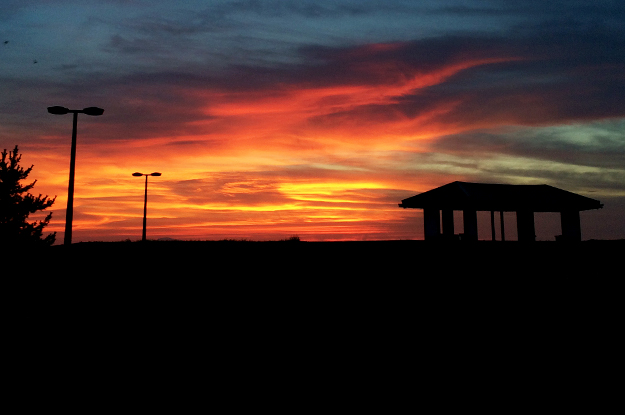 淡路島で夕焼けを見ながらランニング中に、ふと想ったこと。犬にとって服はどんな意味があるんだろう？
