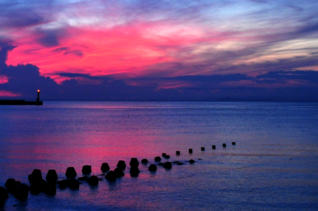 犬をペットと想うか、家族と感じるか、そんなことより、そばにいる生き物は笑ってるか