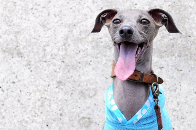 7月最後の新作「爽快にスポーツ！」「５つのカラーから選べるパステルドッド」がテーマ！ブログ限定写真も公開中