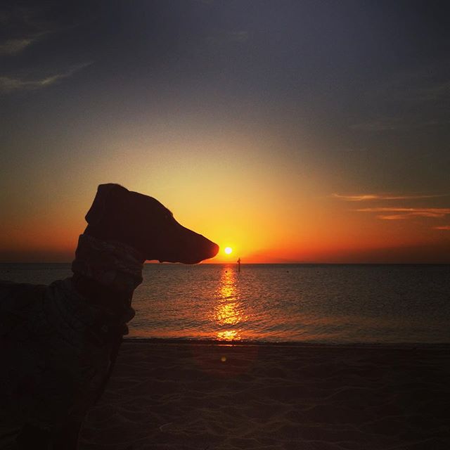 静かな花火を観て涙する。淡路島の花火大会と夕焼け空｜慶野松原花火大会