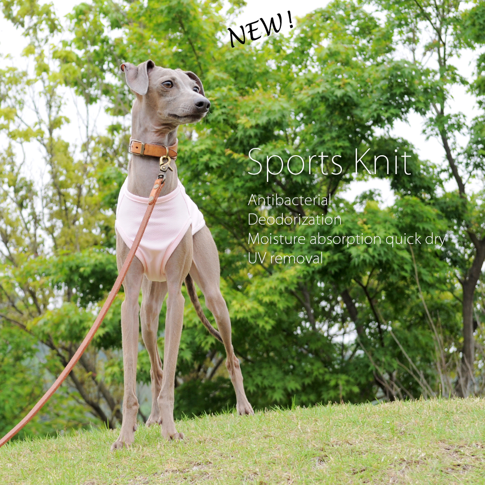 全てのお洋服が「500円DOWN」で買える｜ユーザー評価（レビュー）でARATA HOUSEショッピングポイントを貯めよう！