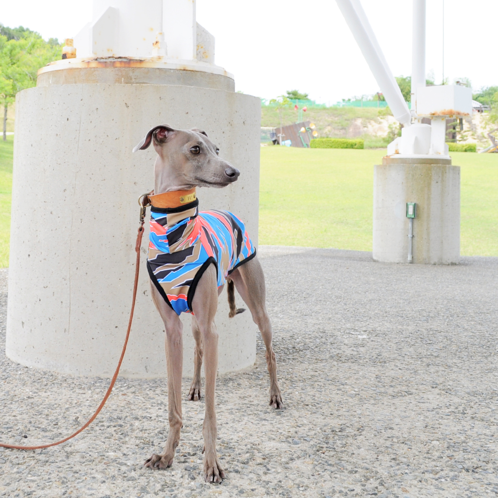 「犬服」Survival/Bubble/Vacationアナタならどれを選ぶ！？スポーツニットプリントに新しいカラーを追加しました