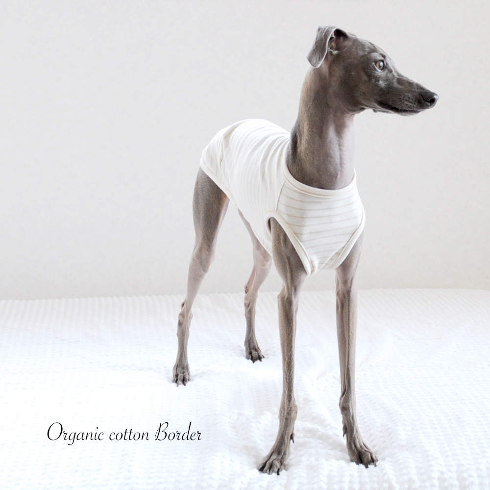 「大好きな犬服」愛犬と環境にやさしいお洋服「オーガニックコットン」着れば着るほどに好きになる! “動画も見れます”