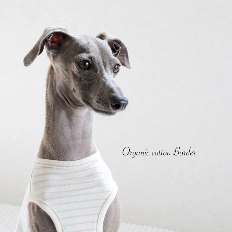 「大好きな犬服」愛犬と環境にやさしいお洋服「オーガニックコットン」着れば着るほどに好きになる! “動画も見れます”