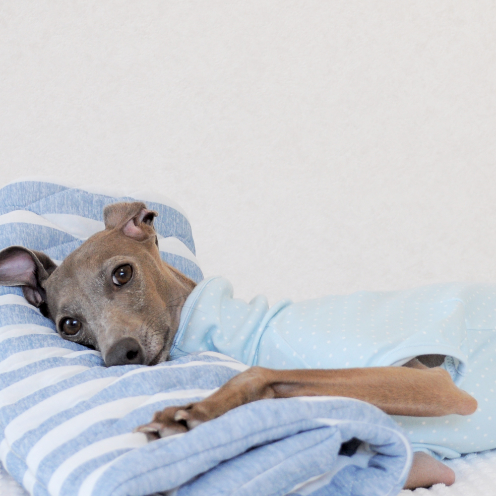 夏用 犬寝袋 カフェマット 暑い日も快適に ひんやり涼しい肌触り Arata House