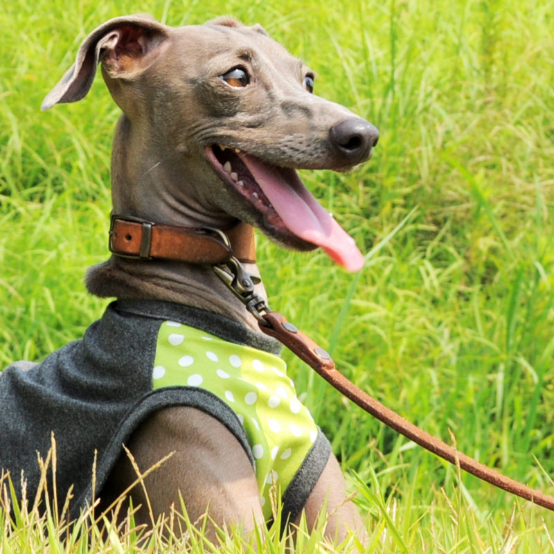 7月最後の新作「爽快にスポーツ！」「５つのカラーから選べるパステルドッド」がテーマ！ブログ限定写真も公開中