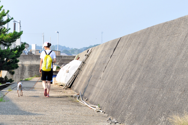 涼しいお洋服でルンルン♪「散歩」と「芝」と「ボール」と「Buono!」と「犬服新作」