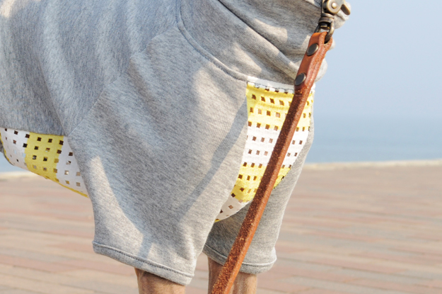 涼しいお洋服でルンルン♪「散歩」と「芝」と「ボール」と「Buono!」と「犬服新作」