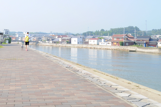 涼しいお洋服でルンルン♪「散歩」と「芝」と「ボール」と「Buono!」と「犬服新作」